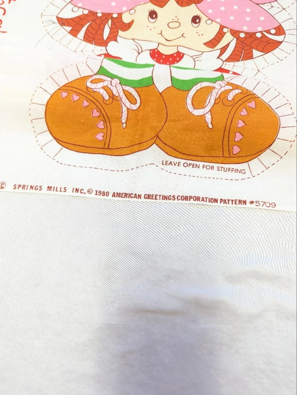 Strawberry Shortcake 20